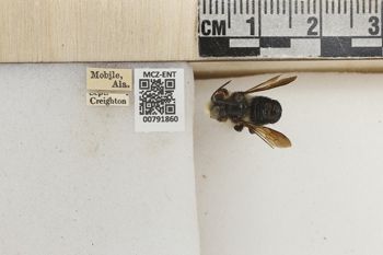 Media type: image;   Entomology 791860 Aspect: Labels